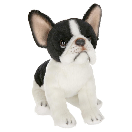 6" French Bulldog Lil’ Oliver
