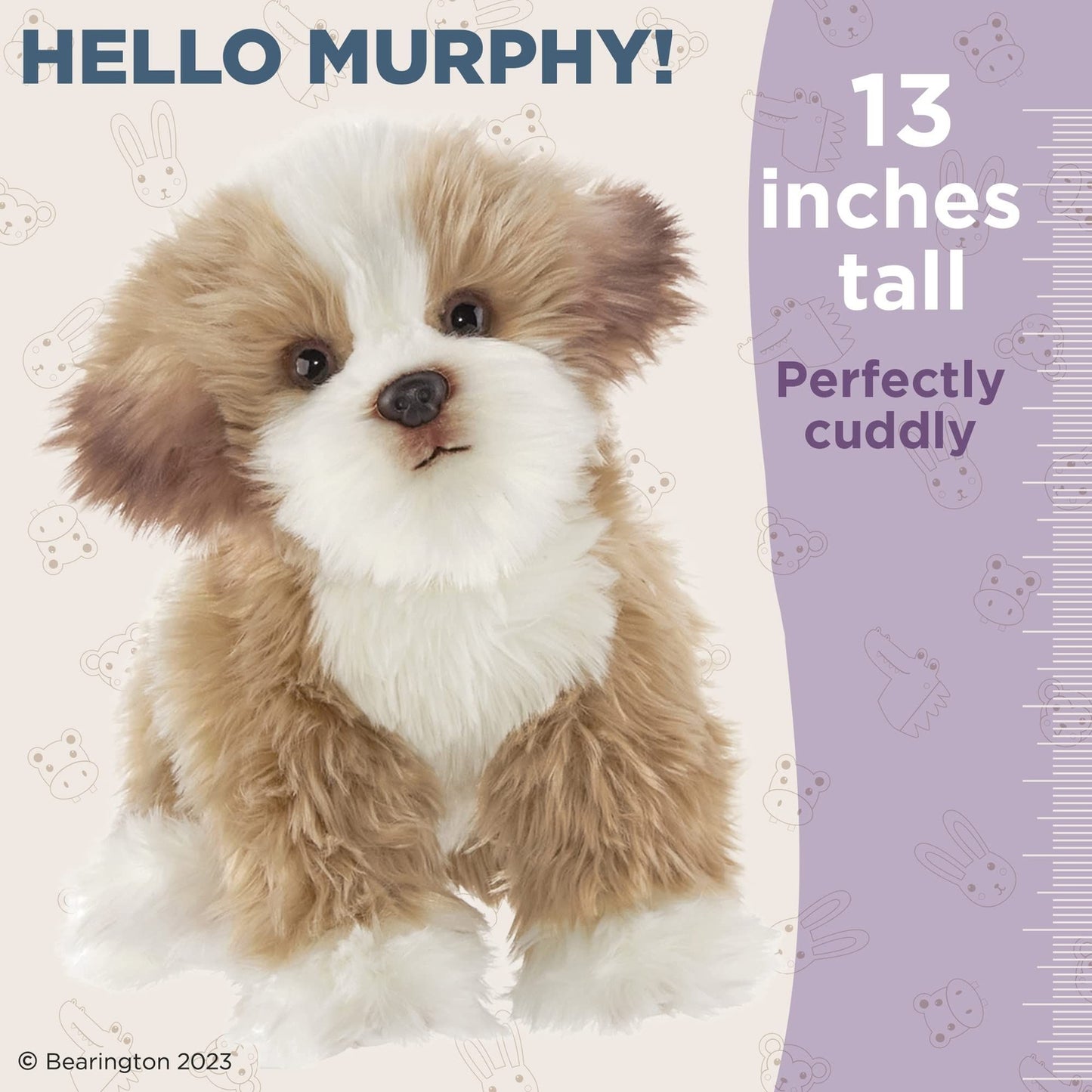 13" Maltipoo Murphy