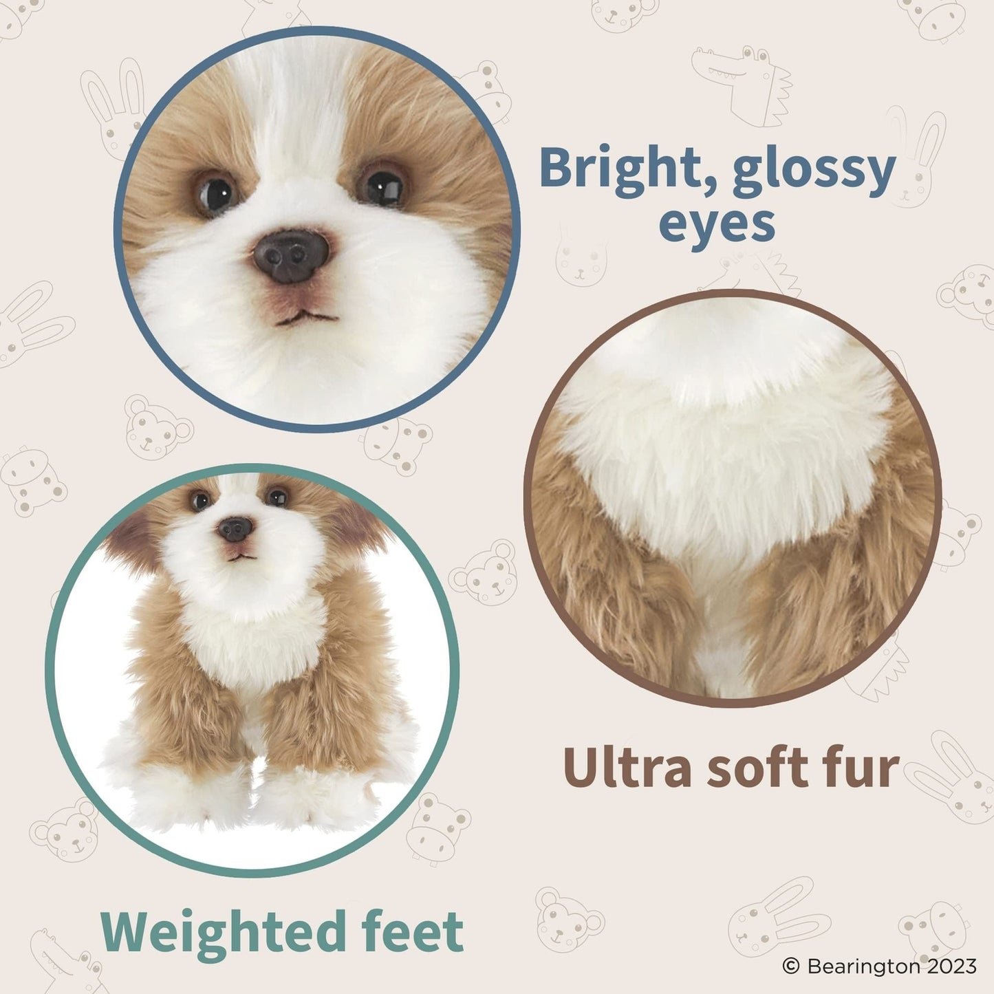 13" Maltipoo Murphy