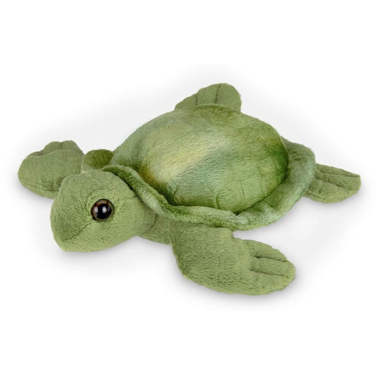7" Sea Turtle Lil' Shelton