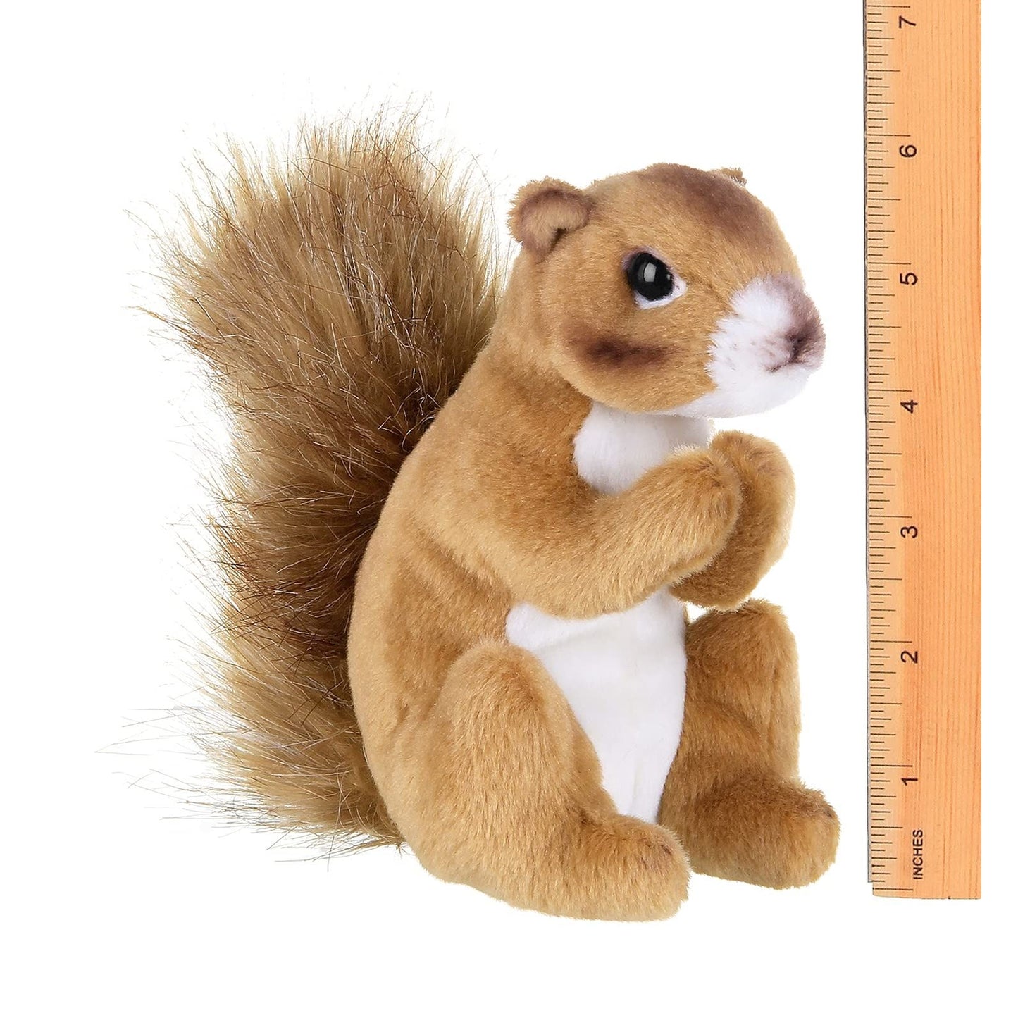 7" Squirrel Cooper