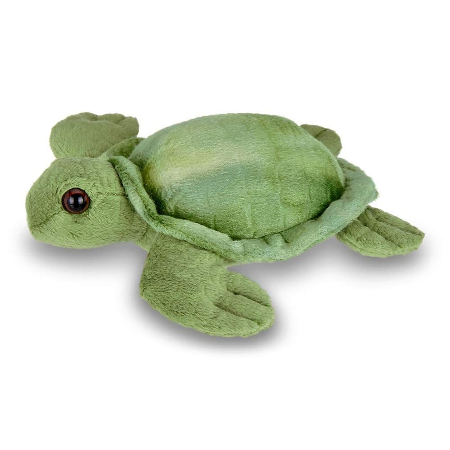 7" Sea Turtle Lil' Shelton