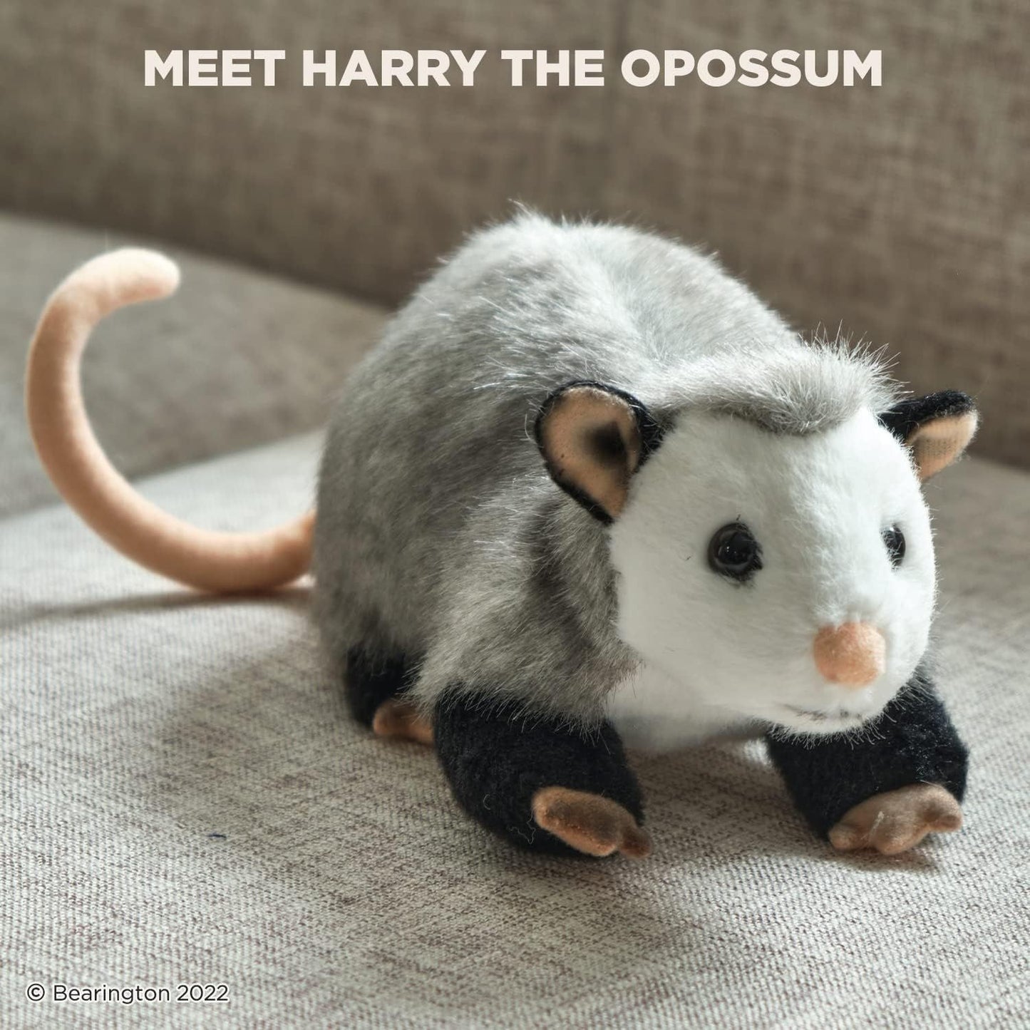 9" Opossum Harry