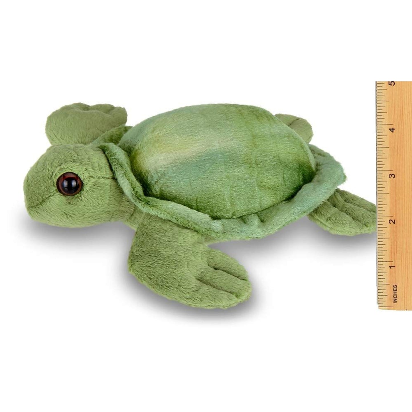 7" Sea Turtle Lil' Shelton