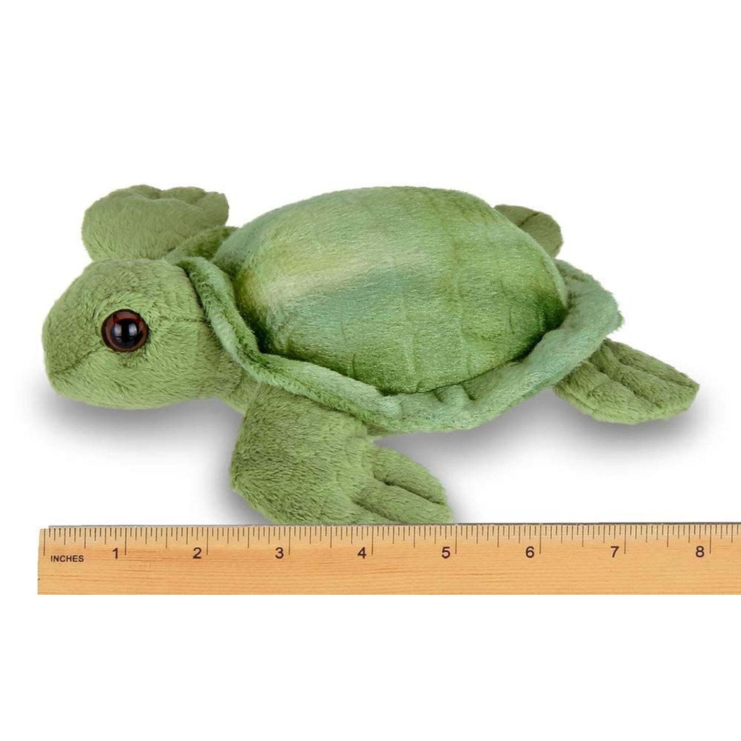 7" Sea Turtle Lil' Shelton
