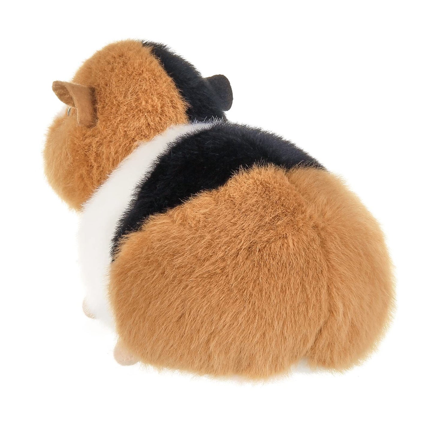 8" Guinea Pig Scooter