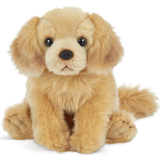13" Golden Retriever Goldie