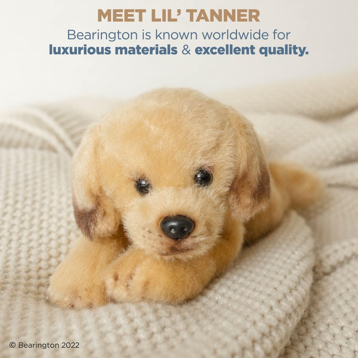 8" Labrador Lil’ Tanner