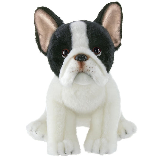 13" French Bulldog Oliver