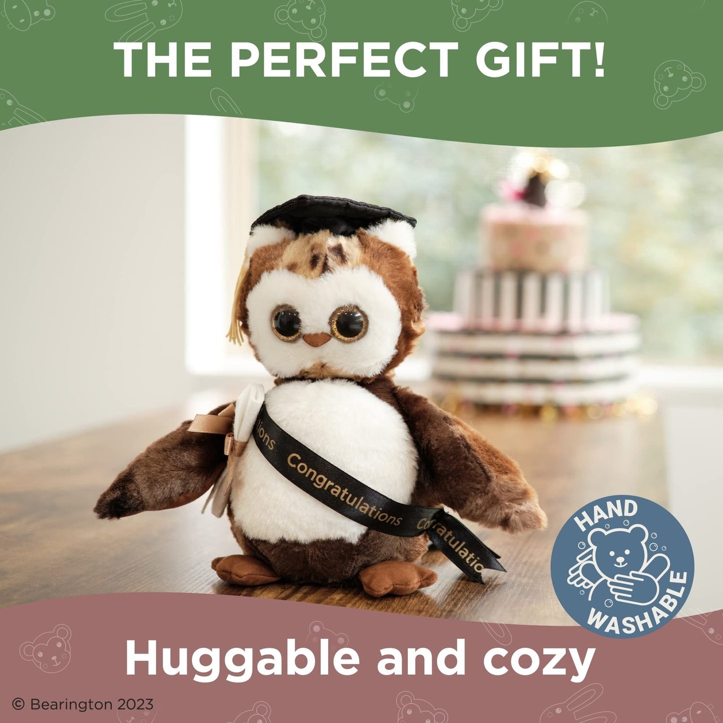 8.5" Graduation Owl Wisdom