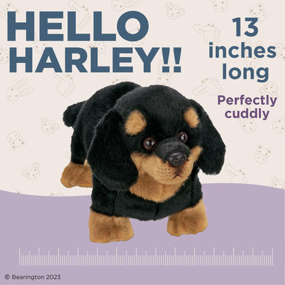 13" Dachshund  Harley