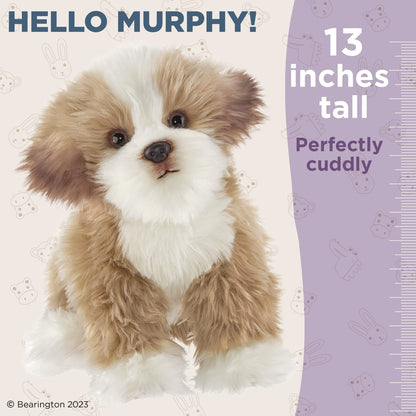 13" Dog Maltipoo  Murphy
