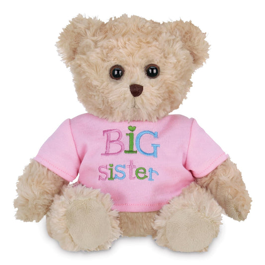 12" Teddy Bear Big Sister