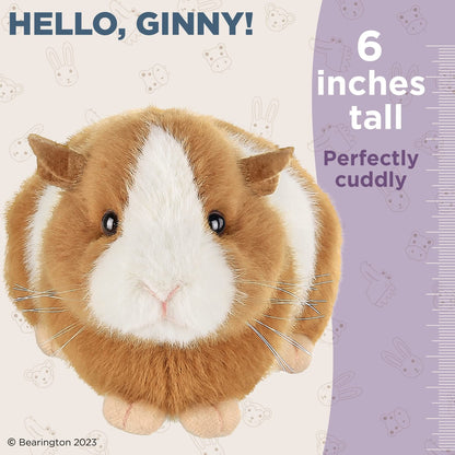 8" Guinea Pig Ginny