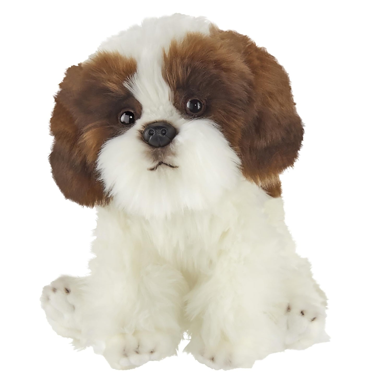 13" Shih Tzu Bentley