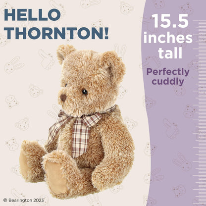 15.5" Bear Thornton