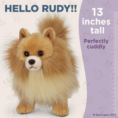 13" Pomeranian Rudy