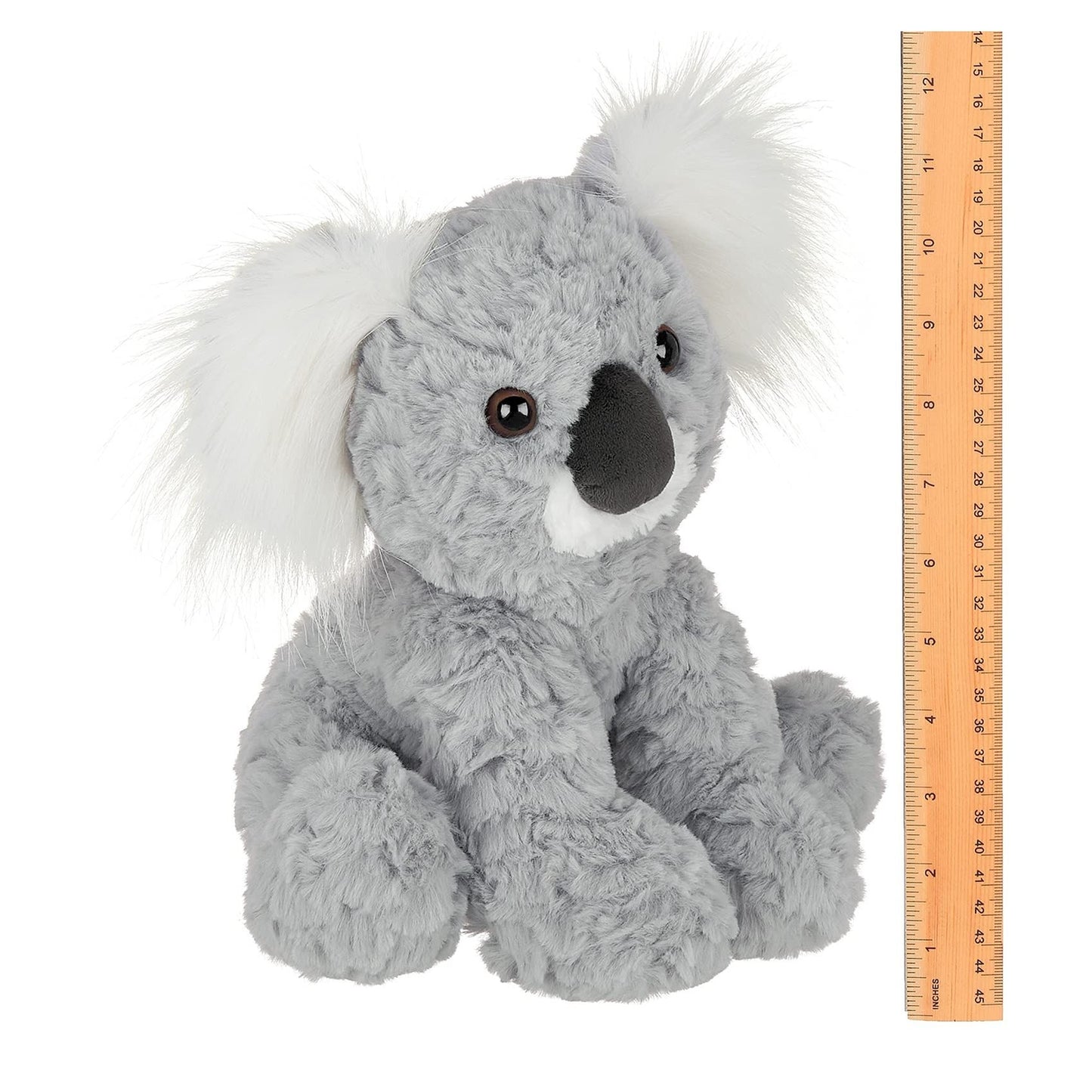 10.5" Koala Sydney