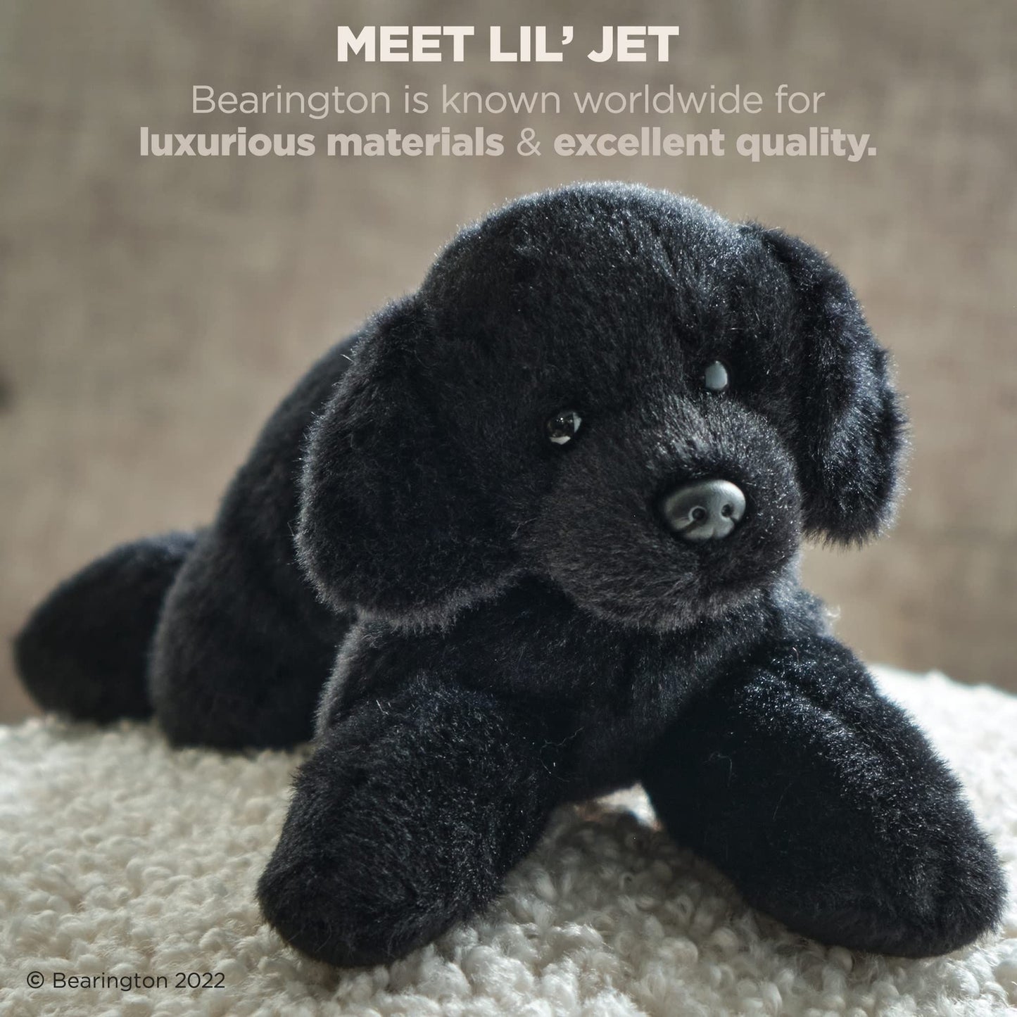 8" Labrador Lil'Jet