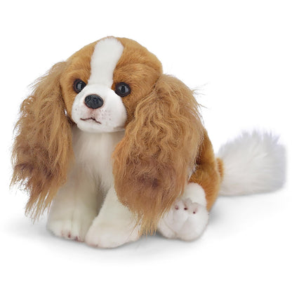 13" Cavalier King Charles Sadie