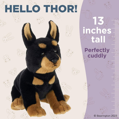 13" Doberman Thor