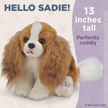 13" Cavalier King Charles Sadie