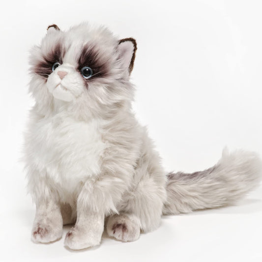 10.5" Himalayan Cat Tasha