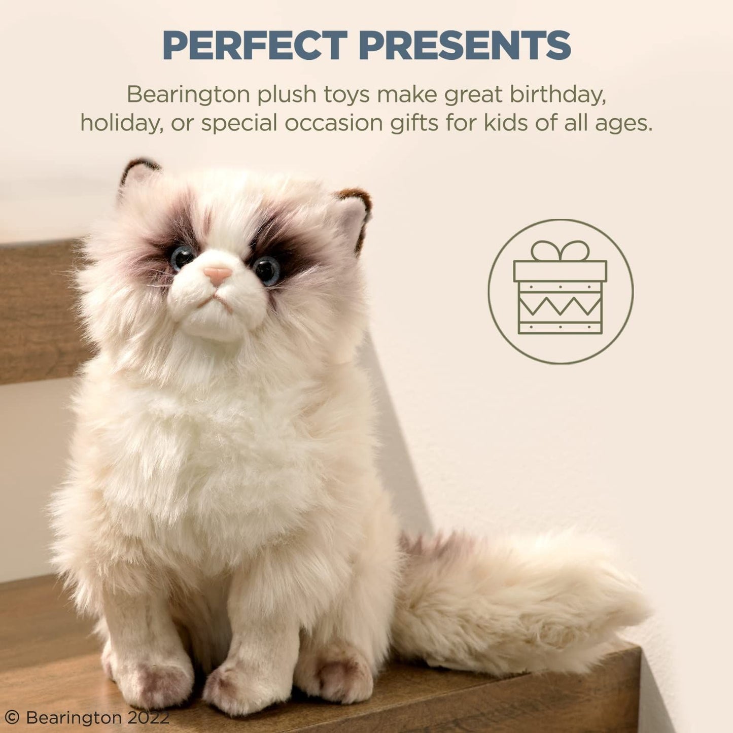 10.5" Himalayan Cat Tasha