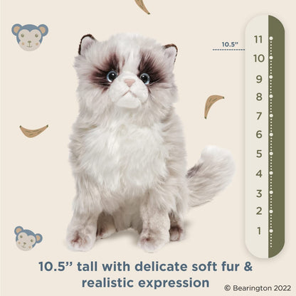 10.5" Himalayan Cat Tasha