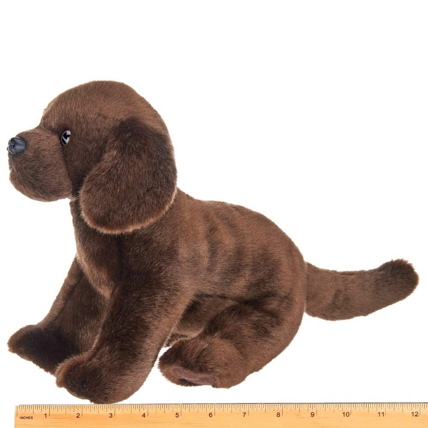 13" Labrador Brody