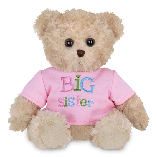12" Teddy Bear - Big Sister