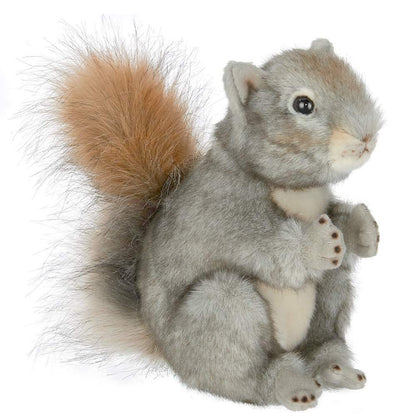 8.5" Squirrel Peanut