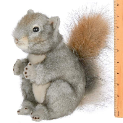 8.5" Squirrel Peanut