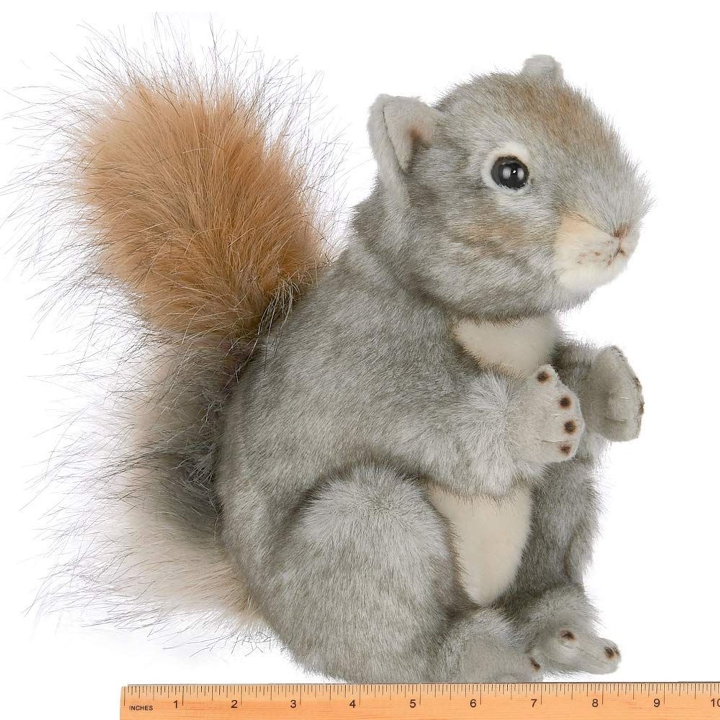 8.5" Squirrel Peanut