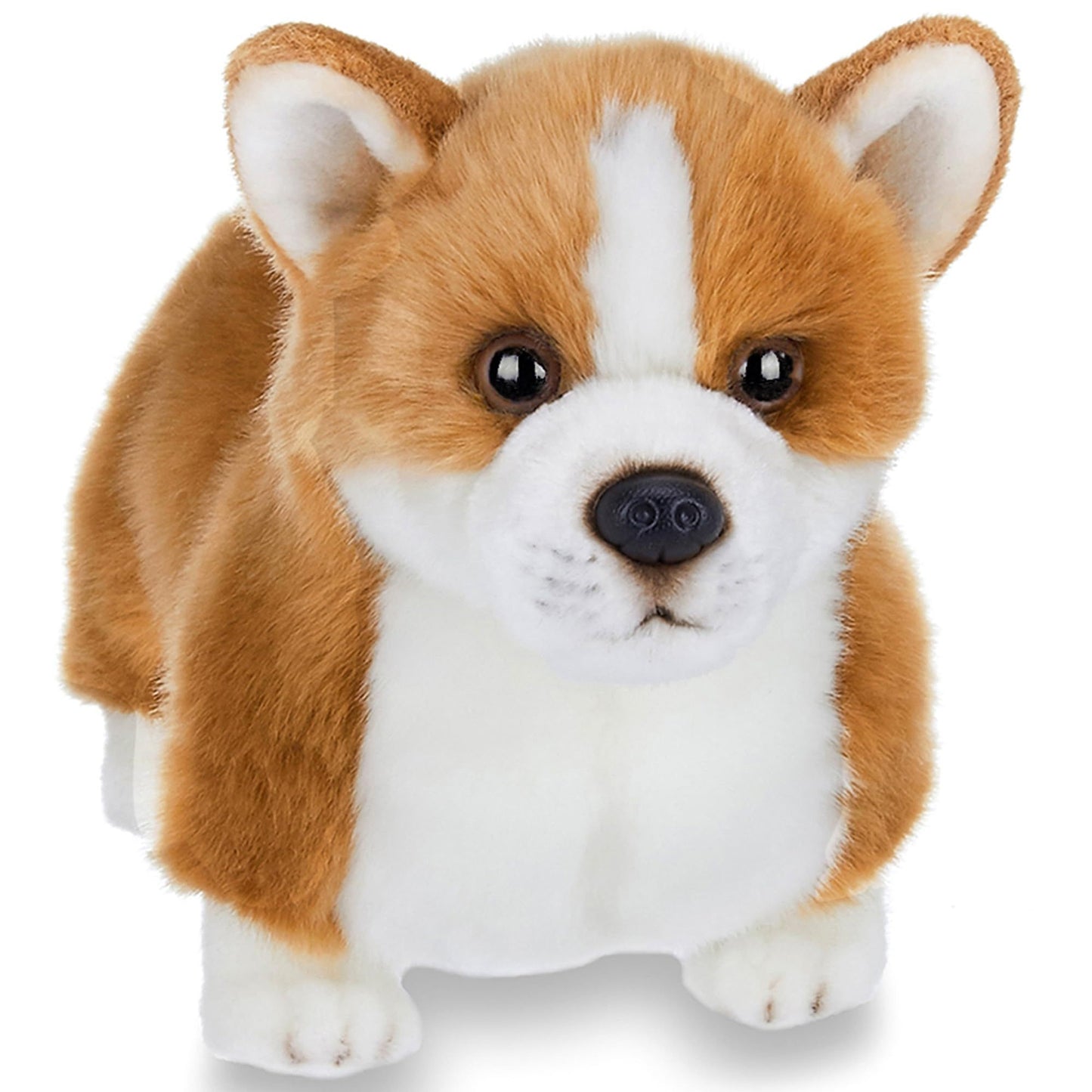 13" Corgi Queenie