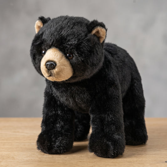 Black Bear Asher - 13"