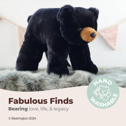 Bandit the Black Bear - 18"